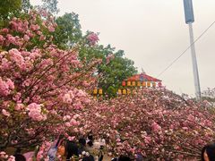 -光明农场大观园
