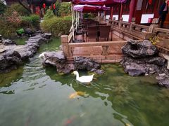 -祝家花園(伯渎港店)