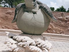 -广东惠东海龟国家级自然保护区