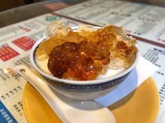 桃胶双皮奶-仁信双皮奶(庙前直街店)