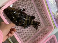 -南沙十九涌渔人码头-南门