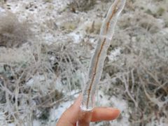 -长春公园(普阳街道)