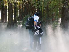 -东湖落雁景区
