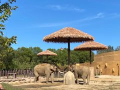 -沈阳森林动物园