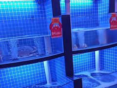 -七欣天香辣蟹火锅(闵行浦江欢乐颂店)