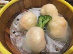 -粤港餐厅(禹州商业广场店)