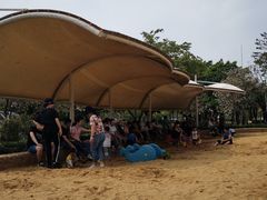 -海珠儿童公园