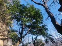 -终南山南五台景区