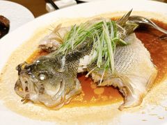 清蒸鲈鱼-水月周庄铂尔曼酒店-水月荟中餐厅