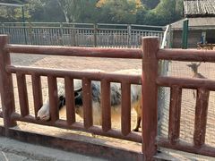 -无锡动物园·太湖欢乐园