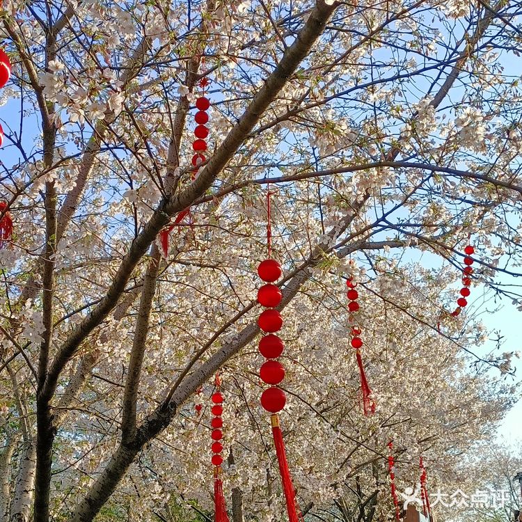 趁着蓝天去就对了