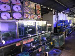 -八仔大富楼·河鲜(西江店)