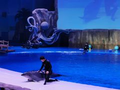 -华夏文旅海洋公园