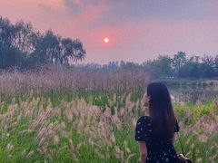 -东郊湿地公园
