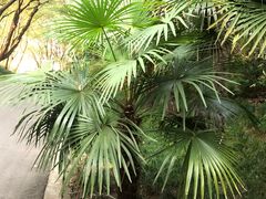 -蜀冈西峰生态公园