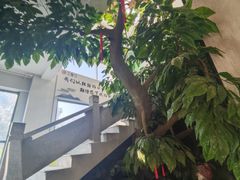 -淮扬楼(文港路店)