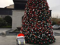 &nbsp;正门的圣诞树-上海崇明金茂凯悦酒店