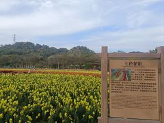 -丹樱生态园