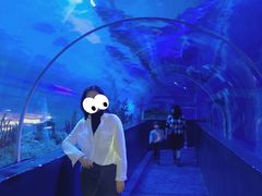 -成都浩海立方海洋公园