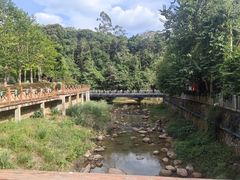 -广州白江湖森林公园