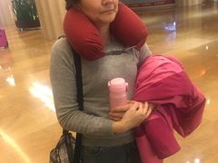 -东方帝景假日酒店