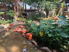 -长鹿旅游休博园