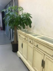 -北京炫美医疗美容