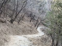 -北京鹫峰国家森林公园