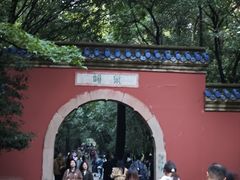 -灵谷景区