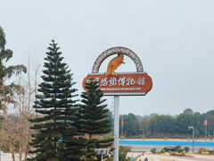-自贡恐龙博物馆