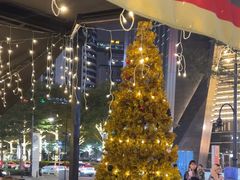 -haxnbauer海森堡德国餐厅(深圳coco店)