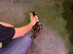 -吉友粥底火锅(方斜路店)