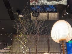 -桂满陇·海市蜃楼·黑金(国金店)