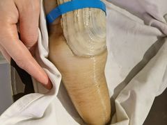 -红雀围·海鲜火锅(陆家嘴中心店)