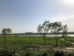 -绿堤公园