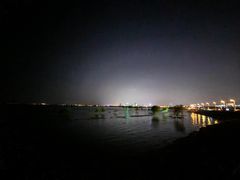 -合肥滨湖国家森林公园