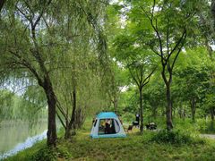-广富林郊野公园