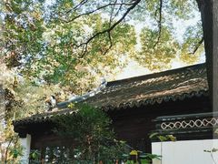 -汇龙潭
