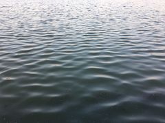 -尚贤河湿地