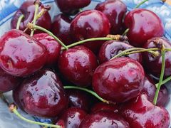 -郫都区农科村景区