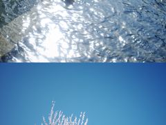 -三里河公园