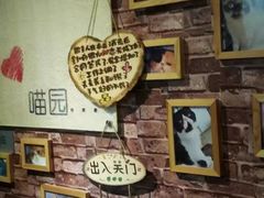 -喵园·猫主题咖啡厅·撸猫·猫咖(国贸店)