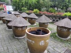 -成都川菜博物馆