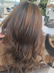 -GANO HAIR 
