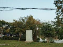 -贡湖湾湿地公园