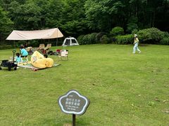 -桃花岭景区