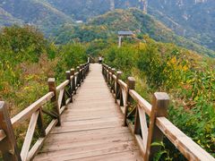 -大岭沟猕猴桃谷风景区