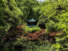 -岳麓山风景名胜区