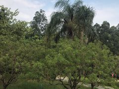 -南国桃园旅游度假区