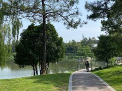 -美兰湖景区